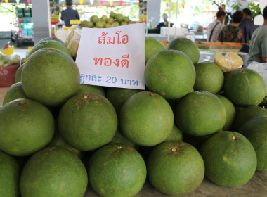 “รมช.เกษตร” ปักหมุดตลาดเกษตรกรเชียงราย หนุนบริโภคผลไม้ไทย ... พารามิเตอร์รูปภาพ 76